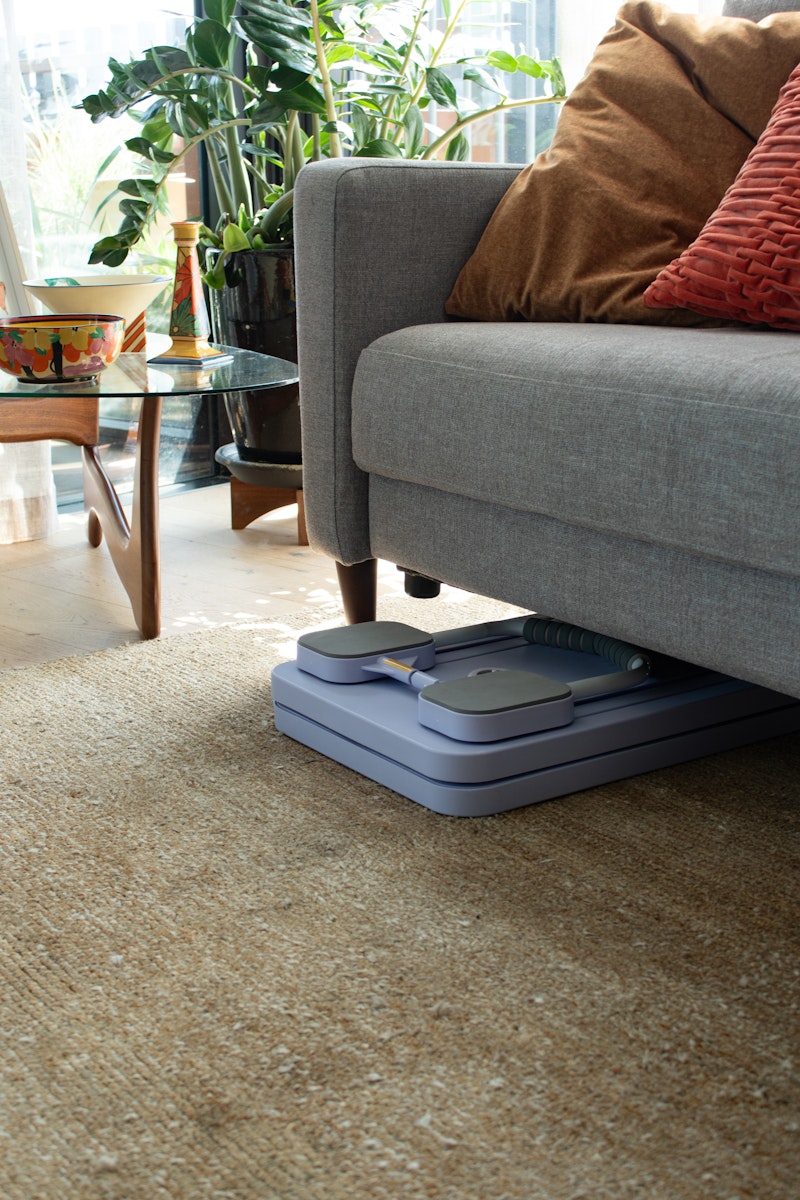 FitMe Multi-Functional Fitness Board (Purple)