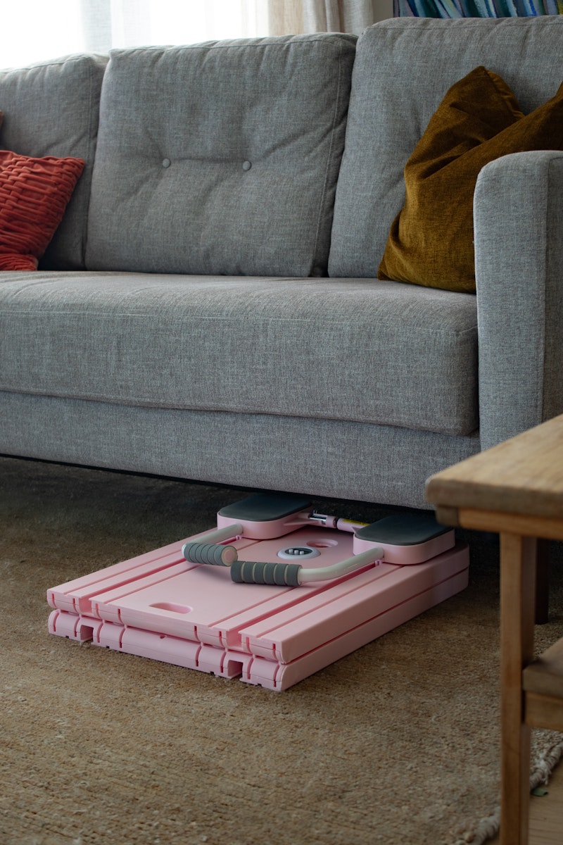 FitMe Multi-Functional Fitness Board (Pink)